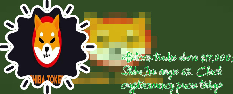 Shiba crypto